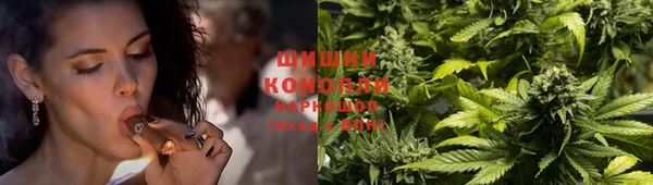 гашик Белоозёрский