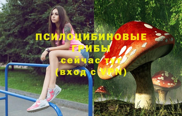 гашик Белоозёрский