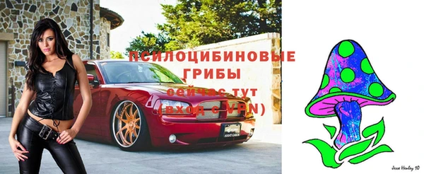 гашик Белоозёрский
