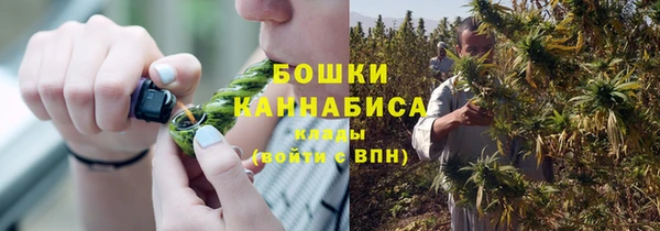 каннабис Беломорск