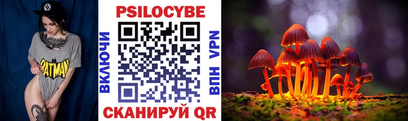 Галлюциногенные грибы Psilocybe  Балахна 